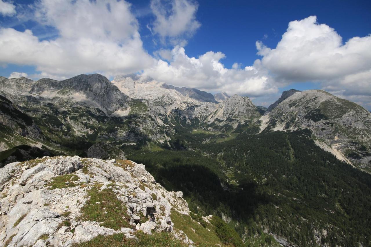Chalet Pr Dobravc Bohinj Exterior photo